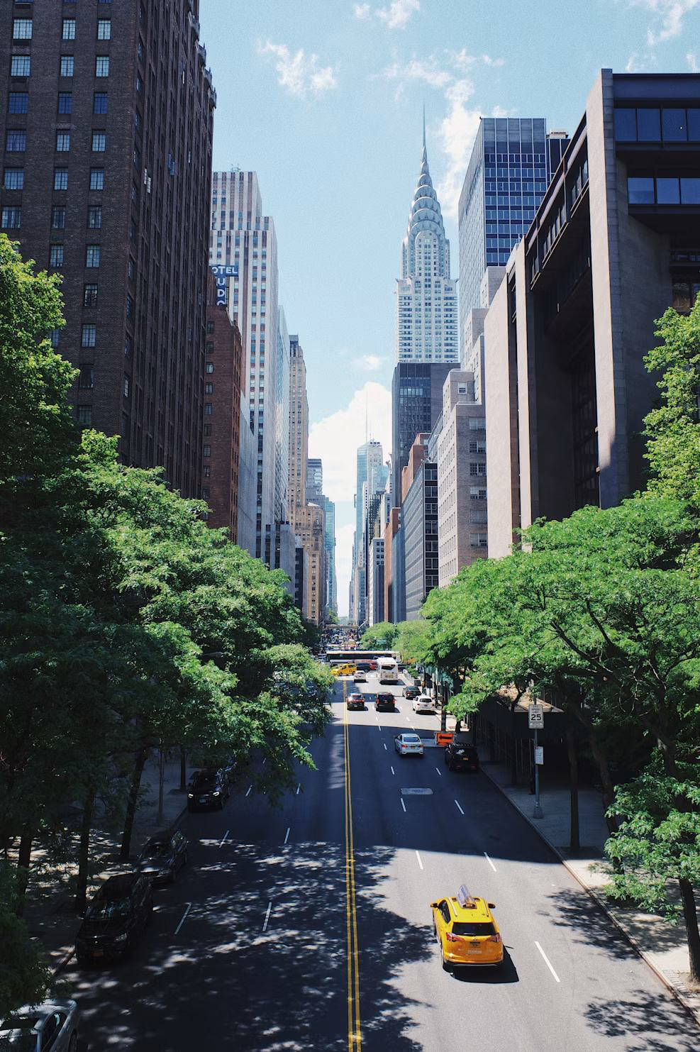 Park Avenue in New York City